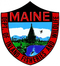 Maine-logo